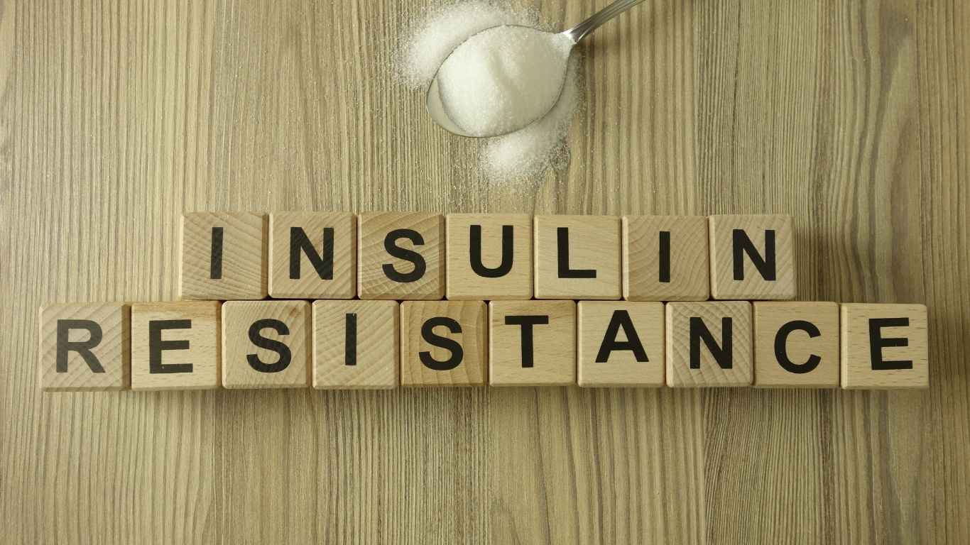 INSULINSKA REZISTENCIJA